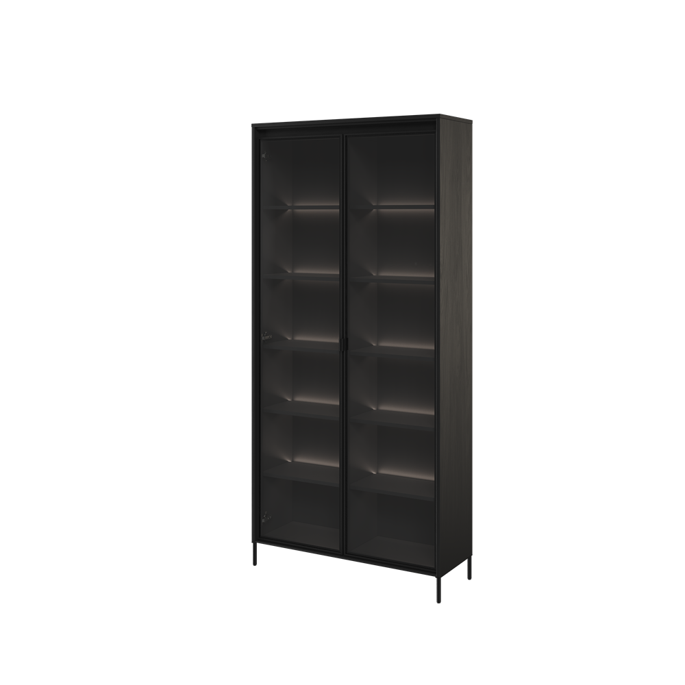 TREND TR-07 v.2 - witryna 2w z oświetleniem - czarny