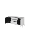 TR1BIC-V2_03.png
