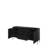 TR1C-V2_03.png