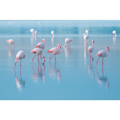 OBRAZ FLAMINGOS 120X80