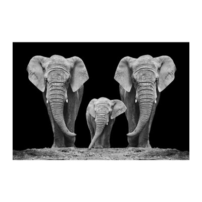 OBRAZ ELEPHANT FAMILTY 120X80