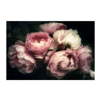 OBRAZ FLOWERS I 120X80