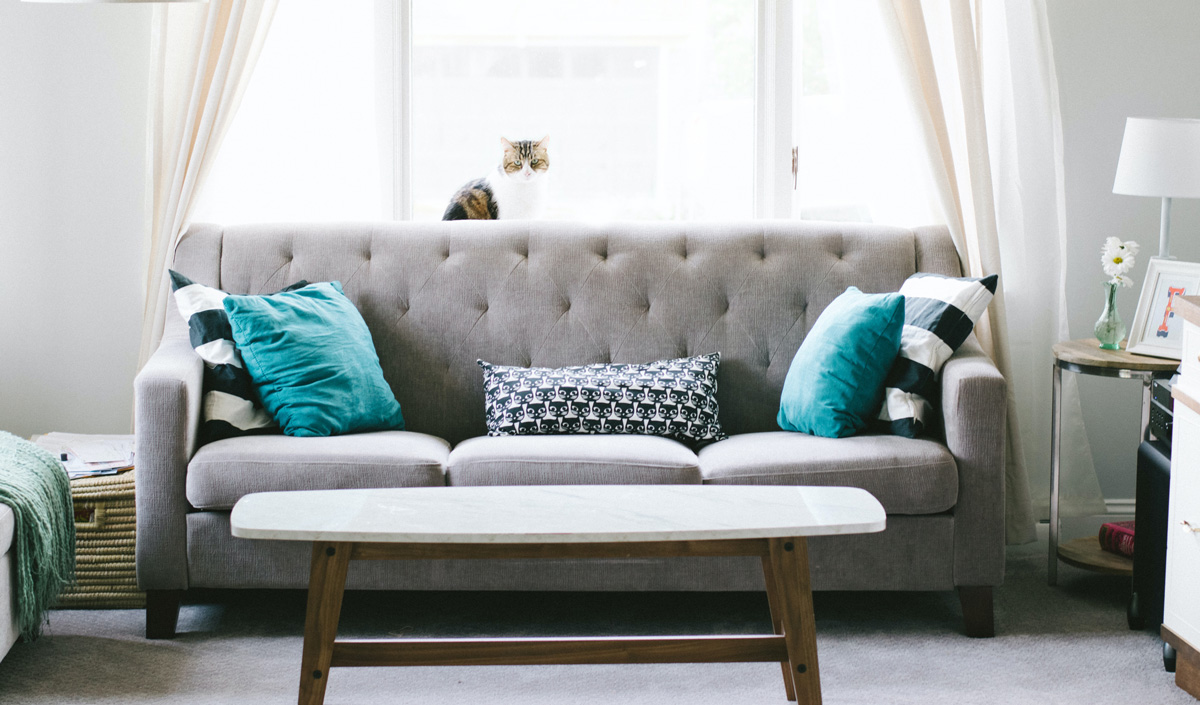 This is default alt image